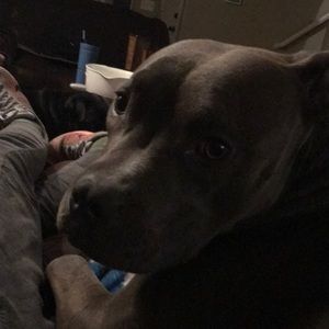 Meet your Posher, Virginia